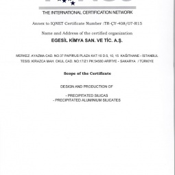 Egesil Kimya TS EN ISO 14001:2015 Certificate Ap:2