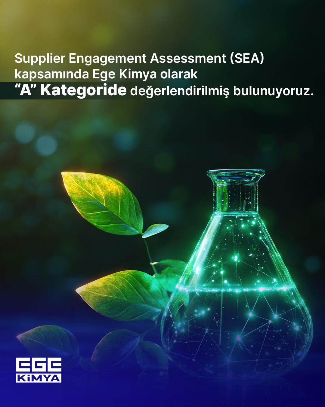 Ege Kimya CDP SEA A Skoru başarısını kutlayan yaprak ve laboratuvar ekipmanı temalı sürdürülebilirlik görseli.