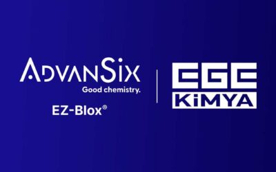 AdvanSix EZ-BLOX® Avrupa Distribütörü