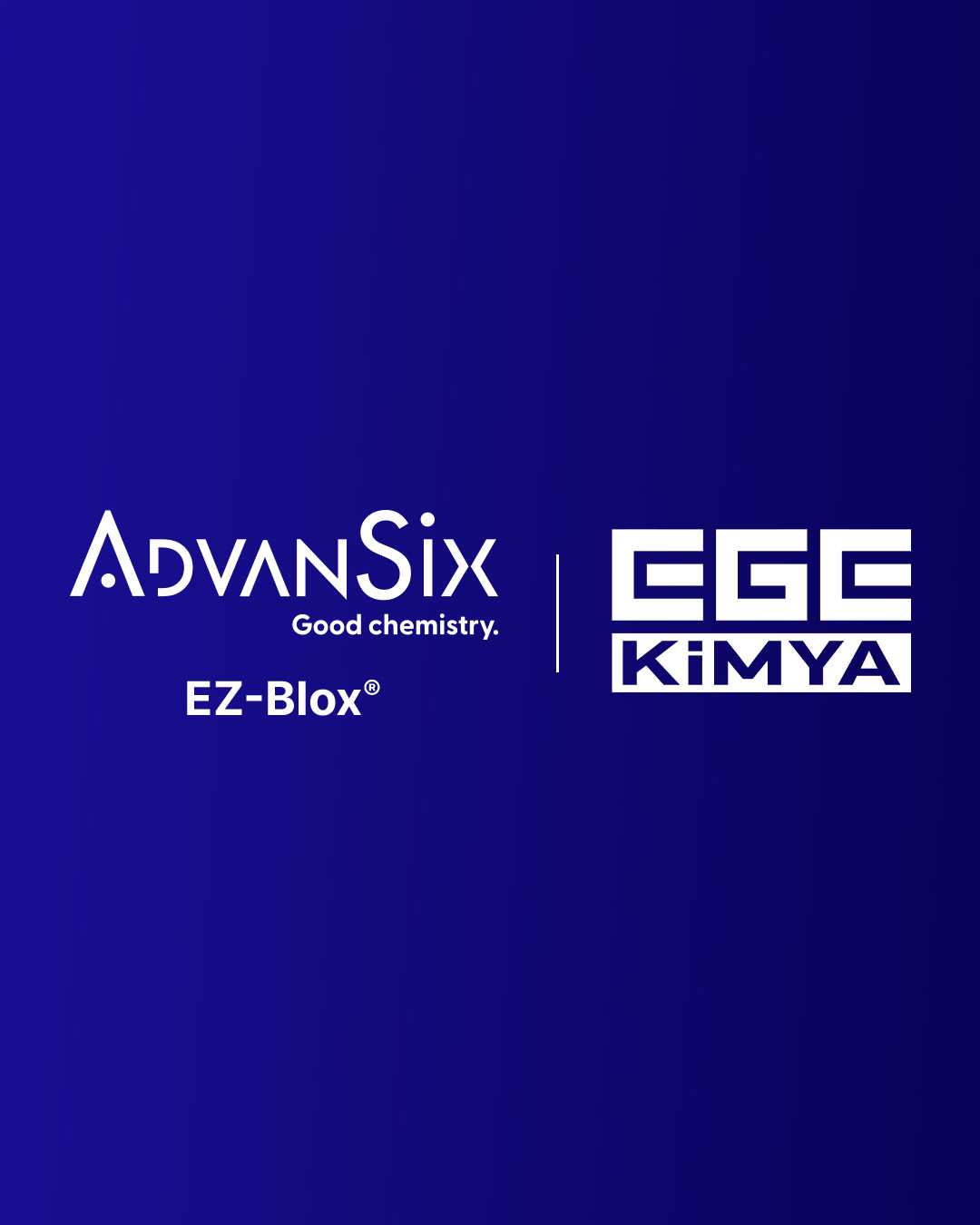 Ege Kimya ekibinin Tire Technology Expo 2026 Hannover fuarındaki stand önünde çekilmiş toplu hatıra fotoğrafı.